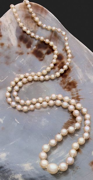 NECKLACE holding white cultured pearls in...