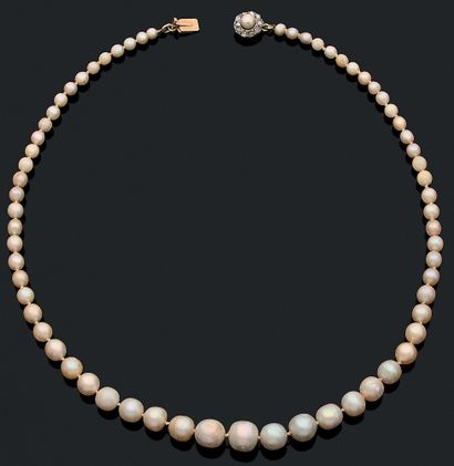 null 
COLLIER MÉLANGÉ

de 66 perles blanches en chute. Fermoir en forme de fleur...