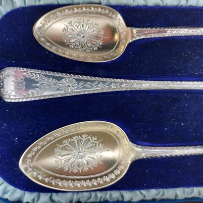 null ECRIN including : 

a large spoon 

a spoon for entremet 

a small spoon 



in...