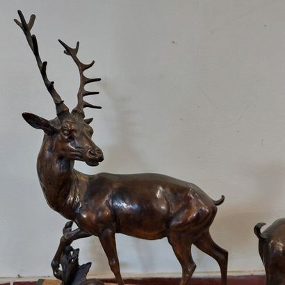 null GROUPE EN REGUL sculpté d'un cerf et d'une biche 

Socle en onyx 

46 x 55 ...