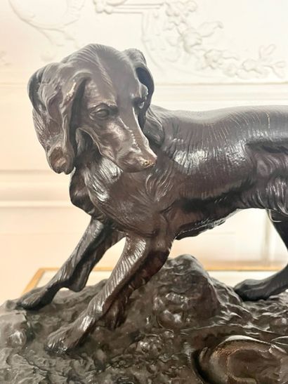 null Jules MOIGNIEZ (1835-1894) Spaniel and hare Bronze with brown patina signed...
