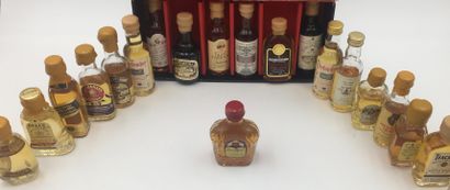 null Ensemble de 14 mignonettes de collections (whiskies)

(informations & photos...