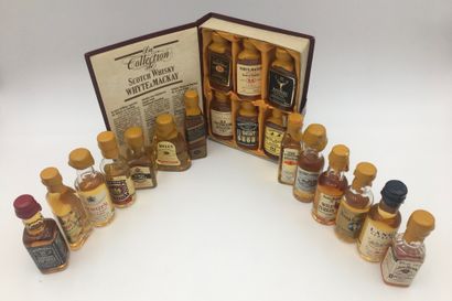 null Ensemble de 14 mignonettes de collections (whiskies)

(informations & photos...