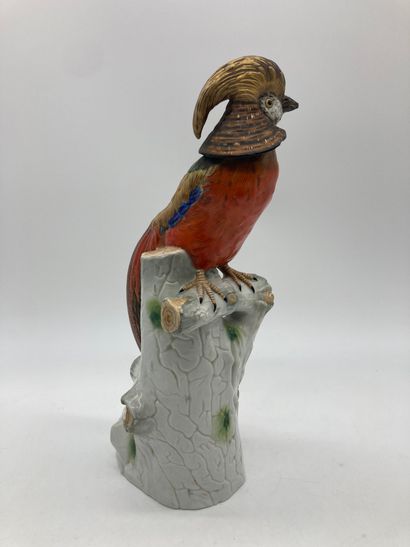 null CHINESE GOLDEN PHEASANT IN PORCELAIN

Resting on a white porcelain trunk. 

(Chips,...