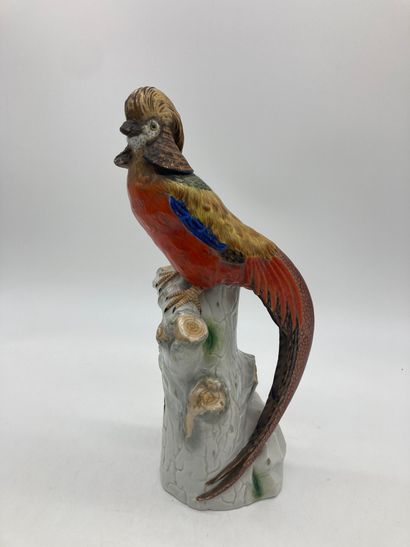 null CHINESE GOLDEN PHEASANT IN PORCELAIN

Resting on a white porcelain trunk. 

(Chips,...
