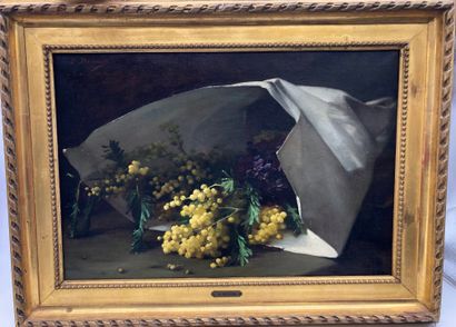 null Emmanuel BENNER (1836-1896), NATURE MORTE AUX MIMOSAS

Huile sur toile,

Signée...