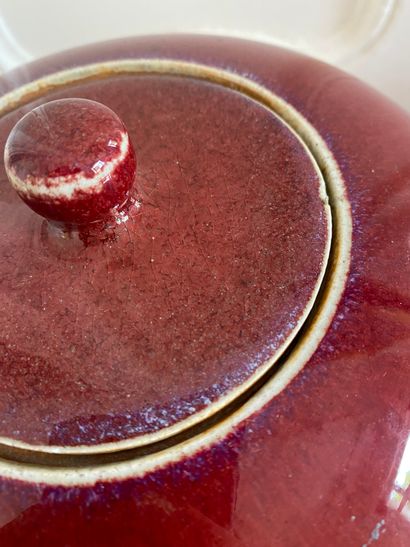 null CHINE

Pot à gingembre couvert en porcelaine rouge "sang de boeuf" 

Fin XIXe...