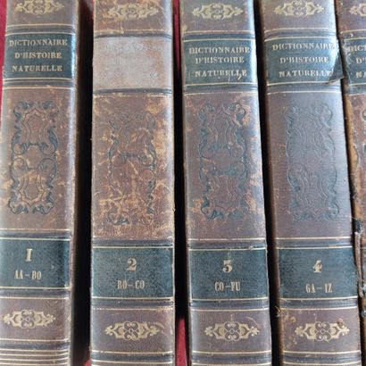 null DICTIONARY OF NATURAL HISTORY by Valmont DE BOMARE 

9 volumes. 

18th century...