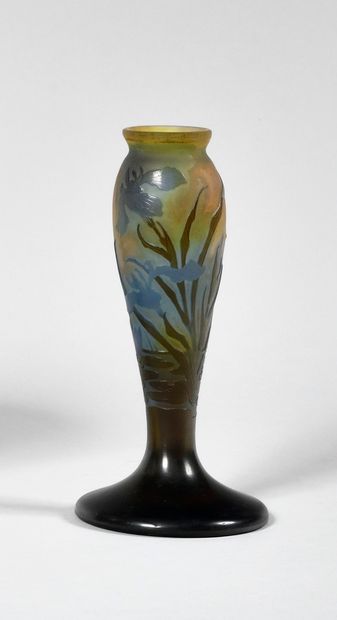 null ETABLISSEMENT GALLE

Vase balustre en verre à décor dégagé à l’acide d’iris...