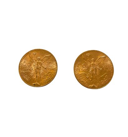 null MEXICO

2 pieces 50 pesos gold

Weight : 83.3 g