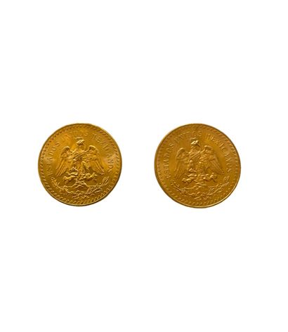 null MEXIQUE

2 pièces 50 pesos or

Poids : 83.3 g