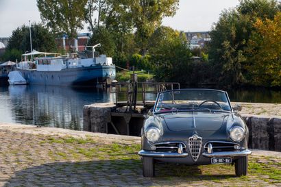 1960 ALFA ROMEO N° de châssis : 149508845 

Carte grise française

 Importante...