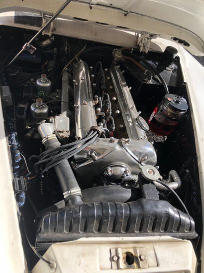 1960 JAGUAR "Serial number: S836528BW 


3.8L engine no.: VA1183P 


Desirable coupe...