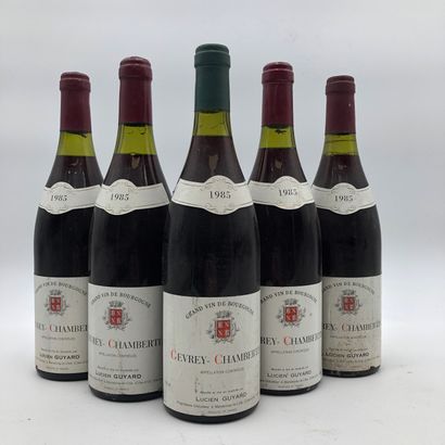 null 5 bottles GEVREY-CHAMBERTIN 1985 Lucien Guyard

(E. f, lm, 1 la, C. 1 different,...