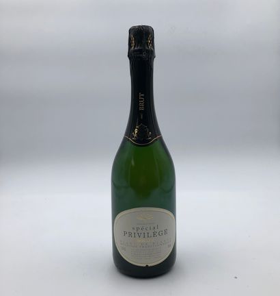 null 6 bouteilles CHAMPAGNE Blanc de Blancs Spécial privilège