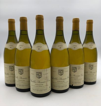 null 6 bottles CHABLIS 1993 1er Cru "Fourchaumes" Philippe Delannoy

(N. 1 to 2 cm,...