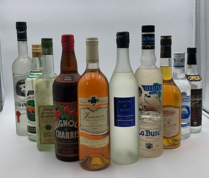 null 10 bouteilles ALCOOL MIXTE : Alcool, Sirop et vins divers 

(N. variables, E....