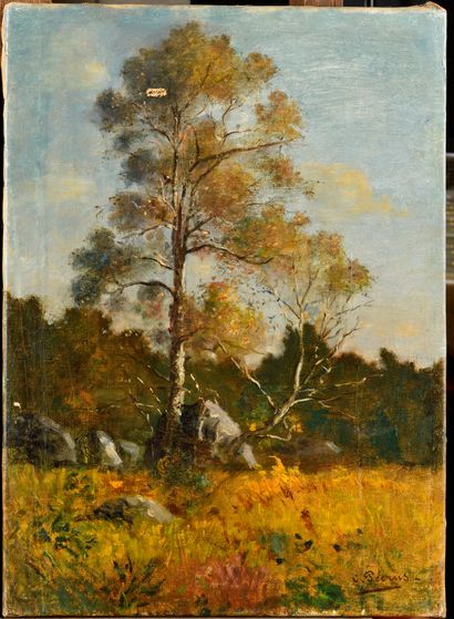 null CHARLES PÉCRUS (1826-1907)

Arbre et rocher en lisière de forêt de Fontainebleau

Huile...