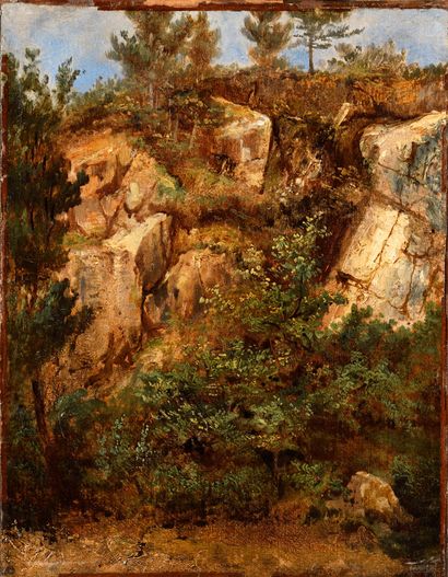 null 19th CENTURY SCHOOL 

Landscape with rocks 

Oil on paper mounted on canvas...