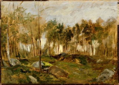 null CHARLES-FRANCOIS DAUBIGNY (1817-1878)

The rocks of the forest of Fontainebleau

Oil...