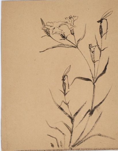 null MARIE GAUTIER (1867-1960) 

Libellule sur une branche de fleur 

Encre sur papier

23...