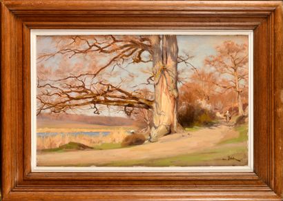 null Henri SAINTIN (1846-1899)

The majestic tree 

Oil on canvas

Signed lower right

Bears...