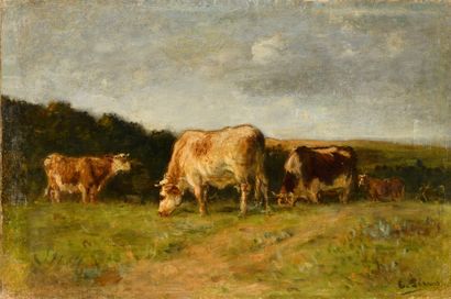 CHARLES PECRUS (1826-1907)

Cows grazing

Oil...