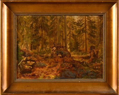null SHISHKIN Ivan (1832-1898)

Forest landscape

Oil on canvas

Signed lower left,...