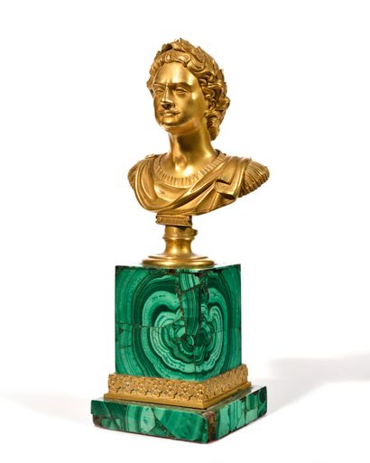 Buste de Pierre le Grand

Bronze doré, placage...