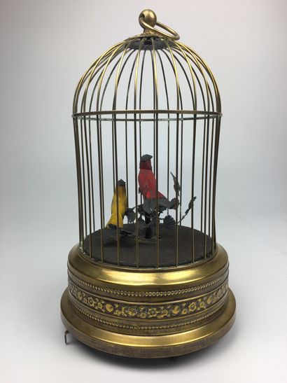 null CAGE AUTOMATE à oiseaux chanteurs (à réviser)
Fin XIXe siècle
Haut : 28 cm