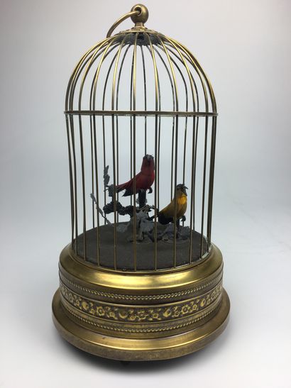 null CAGE AUTOMATE à oiseaux chanteurs (à réviser)
Fin XIXe siècle
Haut : 28 cm