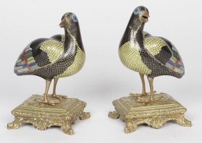 null Chine, XIXe siècle_x000D__x000D_

Paire d’oiseaux en émaux cloisonnés polychromes...