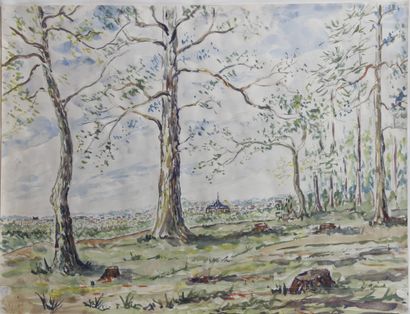 null DIVERS : 

- FERDINAND HANON (1885-1972), dessin à la mine de plomb, La forêt...