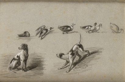 null FRENCH SCHOOL AROUND 1900
Study of Ducks and Hounds
Charcoal and white chalk...
