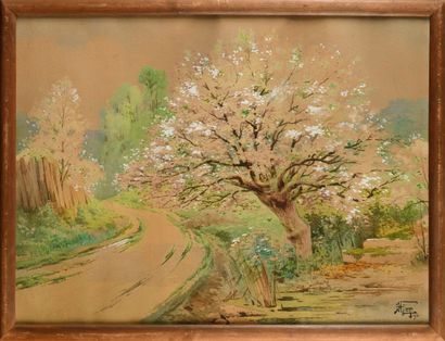 null Hippolyte Jean Adam GIDE (1852-1921)
Apple tree in bloom
Watercolor
Signed and...