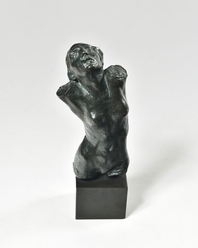null AUGUSTE RODIN (1840-1917)

Torse de la centauresse

Bronze à patine noire nuancée...
