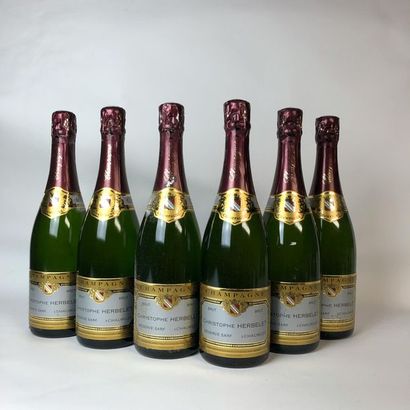 null 6 bottles CHAMPAGNE CHRISTOPHE HERBELET Brut
(E. f)