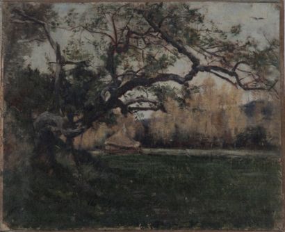 null ÉCOLE DE BARBIZON, Époque XIX siècle.

« Étude d’arbre et de sous-bois »

Trois...
