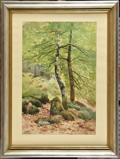 null Auguste ALLONGÉ (1833-1898)
Rochers en forêt de Fontainebleau 
Aquarelle 
Signé...
