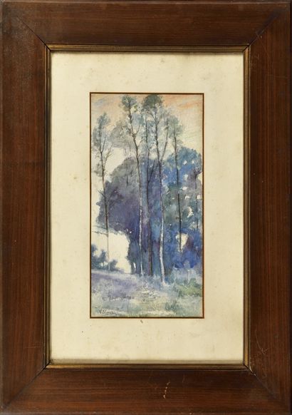 Auguste ALLONGÉ (1833-1898)
Study of birch...