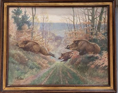 Joseph OBERTHÜR (1872-1956)

Wild boar

Watercolor

57...