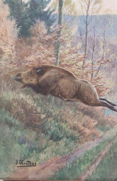 null Joseph OBERTHÜR (1872-1956)

Wild boar

Watercolor

57 x 73 cm (at sight)

(small...