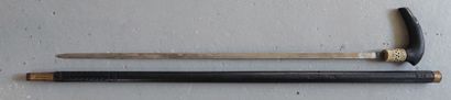 null SYSTEM CANE 

Sword cane, blackened wood shaft, zoomorphic pommel in wood and...