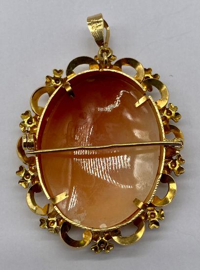 null CAMÉE

holding a woman in profile in a yellow gold frame. 

Gross weight : 16.04...