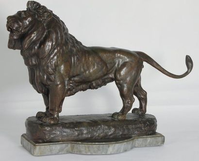 C.MASSON Lion Bronze a patine brune Signe a droite sur la terrasse 31 x 32 x 10 ...