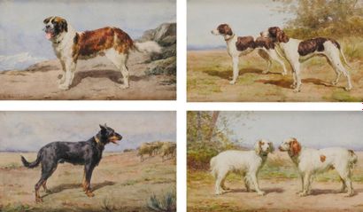 Léon BARILLOT (1844-1929) Chien St Bernard Chien berger de Beauce Couple de braques...