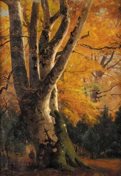 Louis Auguste LAPITO (1803-1874) Grand arbre Fontainebleau en Automne Huile sur papier...