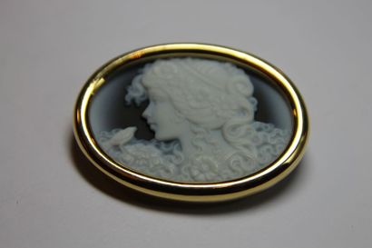 null BROCHE CAMEE en or jaune sur agate. Poids brut : 16,1 g

