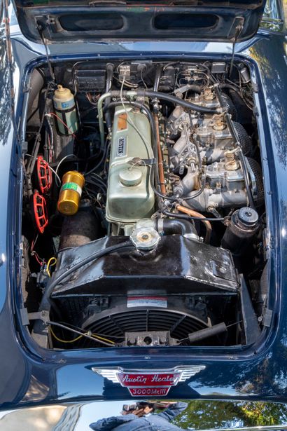 null 1964 AUSTIN HEALEY 3000 BJ8 MK3
Chassis n° HBJ8L29362 
BRITISH MOTOR INDUSTRY...