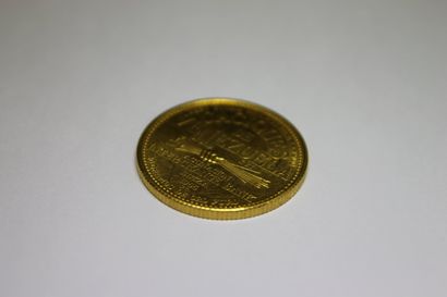 null PIIECE en or jaune Cacique du Venezuela
Poids brut : 22,1 g
